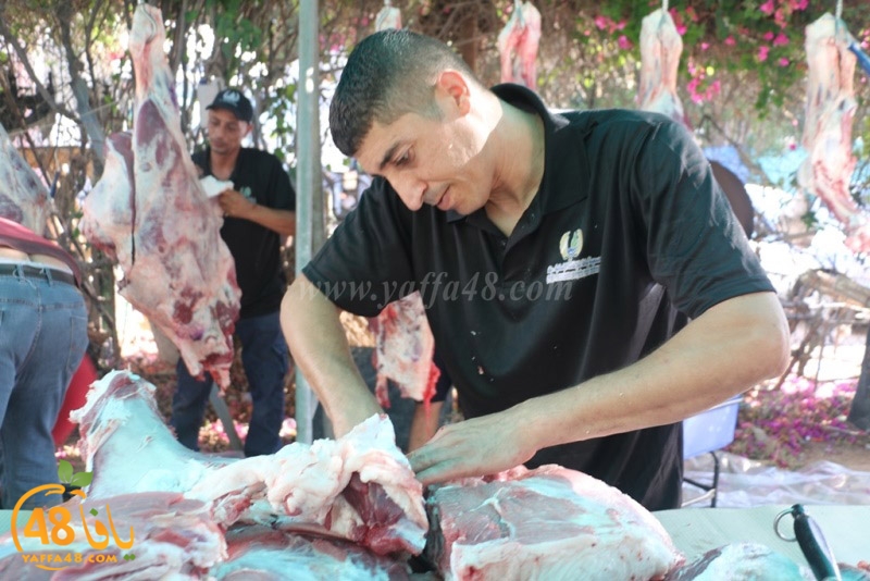 lod8om ada73y (90).JPG